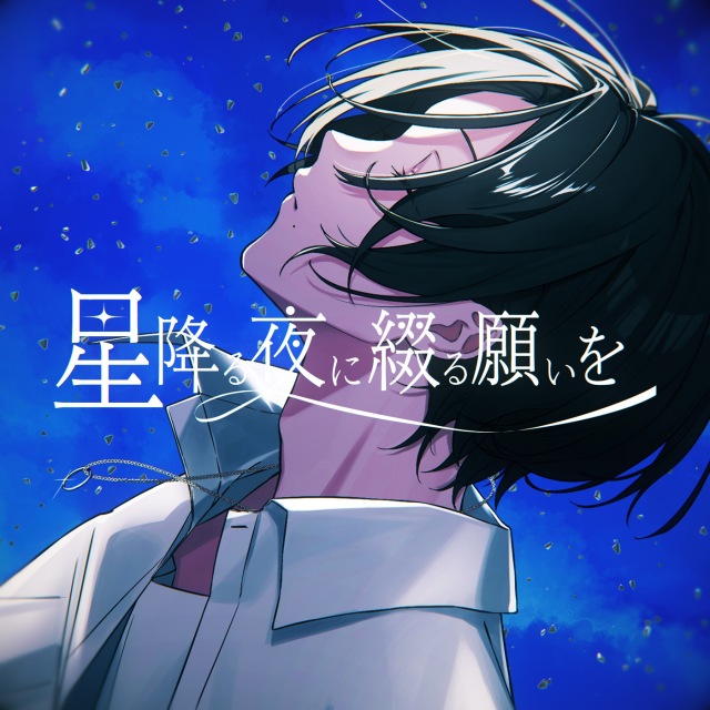 星降る夜に綴る願いを